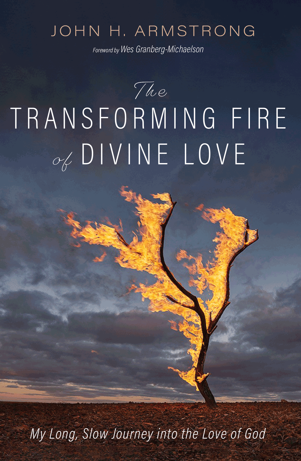 The Transforming Fire of Diving Love Book Cover